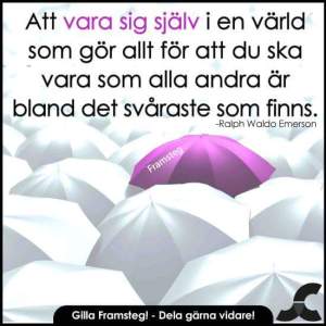 wpid-fb_img_1438104180396.jpg