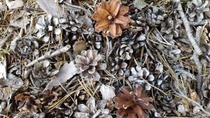 Skolan måste anpassas efter varenda kotte som ska gå där!