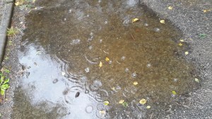 Det blir så många ringar på vattnet och det påverkar hela familjen!