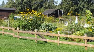 Nu måste vi odla Cs självkänsla!