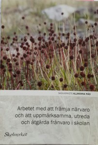 Den här hade nog skolan missat helt!