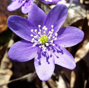 Vi hjälper C upp och låter hen göra saker som hen mår bra av!