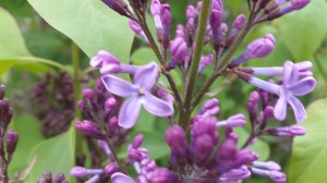 20160519_161802.jpg