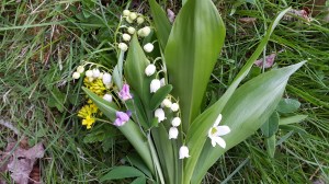 20160519_165349.jpg