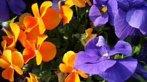 20160523_181554.jpg