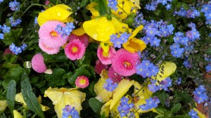 20160528_095640.jpg