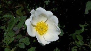 20160602_120010.jpg